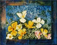 Californian Poppies (15 x 12)